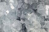 Sky Blue Celestine (Celestite) Crystal Cluster - Madagascar #96874-1